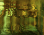 Golden Dreams art print