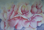Heavenly Blossom giclee art print