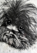 Sally Bamber art print