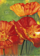 Hot Poppies giclee art print