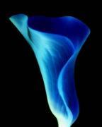 Michael Banks art print