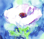 Luisa Gaye Ayre art print