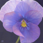 Theresa Evans art print