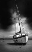 Ray Anderson art print