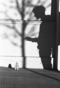 Marjan Zahed-Kindersley art print
