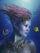 Daren Horley art print