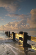 Andrew Fyfe art print