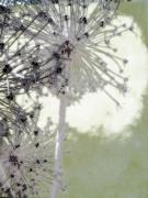 Jane Kerr Wood art print