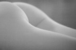 C. Wiseman art print