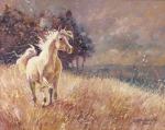 Gill Bustamante B.A. art print