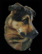 Rebelwolf art print