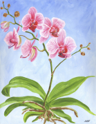 Elise Ferguson art print