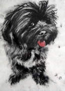Sally Bamber art print