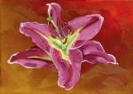 Sally Bamber art print