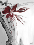 Red Orchid 1 giclee art print