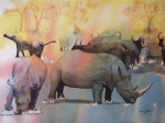 Rhino with Water Buffaloes art print