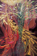 Charles Cater art print