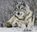 Rebelwolf art print