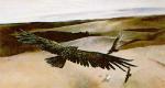 Andrew Wyeth art print