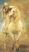 Anthony Van Dyck art print