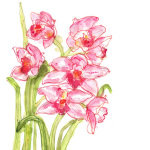 Speckled Orchids giclee art print