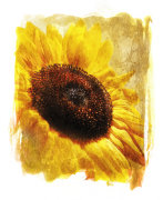 fab art print