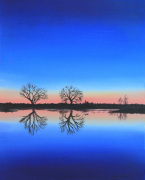 Elizabeth Drayton art print