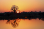 Sunset orange giclee art print