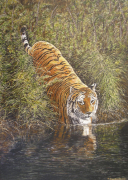 Gary Roberts art print