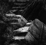 Anne Newell art print