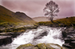 Wilderness Langstrath giclee art print