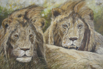Gary Roberts art print