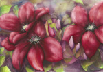 Woodland Floor giclee art print