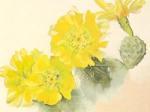 Georgia O'Keeffe art print
