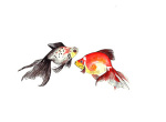 Angela Wadsworth art print