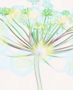 Michael Banks art print