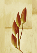Kenny Primmer art print