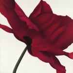 Yvonne Poelstra-Holzhaus art print