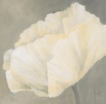 Jettie Roseboom art print