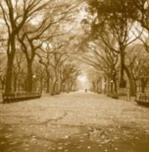 Sondra Wampler art print