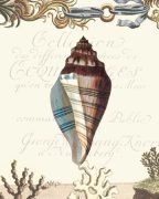 Paula Scaletta art print