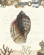 Paula Scaletta art print