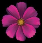 Harold Feinstein art print