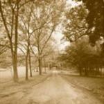 Sondra Wampler art print