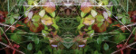 Cycle 2 giclee art print