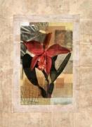 Linda Butler art print