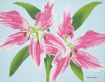 Pink Lily Spray giclee art print