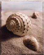 Sondra Wampler art print