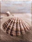 Sondra Wampler art print