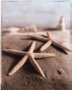 Sondra Wampler art print